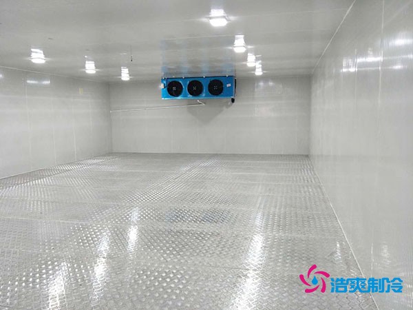 建造100平米-60℃存儲金槍魚的超低溫冷庫造價多少錢？