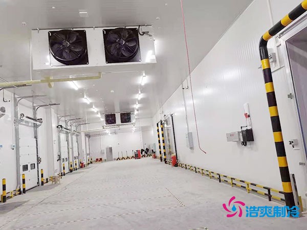 冷庫造價(jià)懸殊？揭秘每平米價(jià)格背后的秘密！