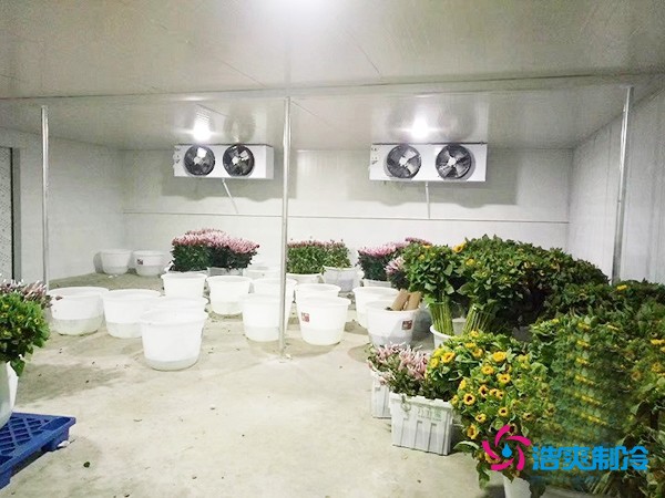 建造500㎡花卉鮮花冷庫工程造價(jià)預(yù)算解析